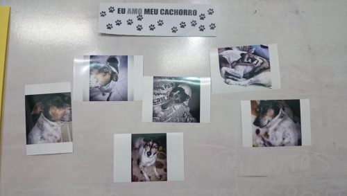 Foto 5 da ação de extensão