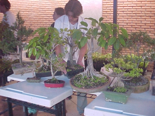 Foto 11 da ação de extensão