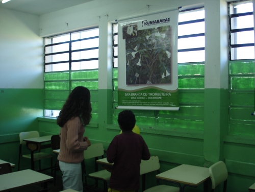 Foto 5 da ação de extensão
