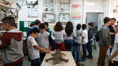 Foto 5 da ação de extensão