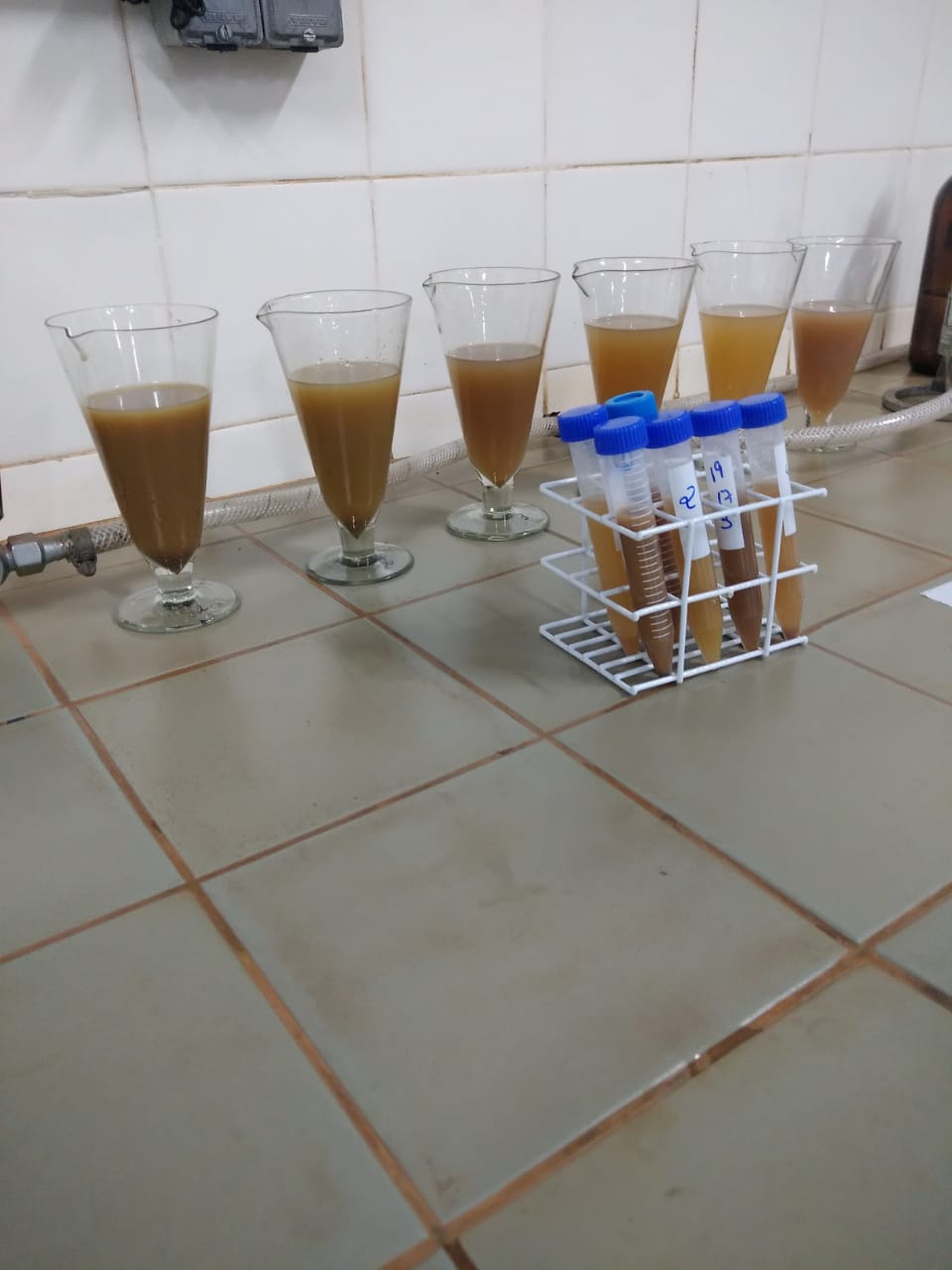 Foto 8 da ação de extensão