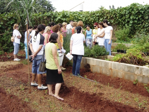 Foto 3 da ação de extensão