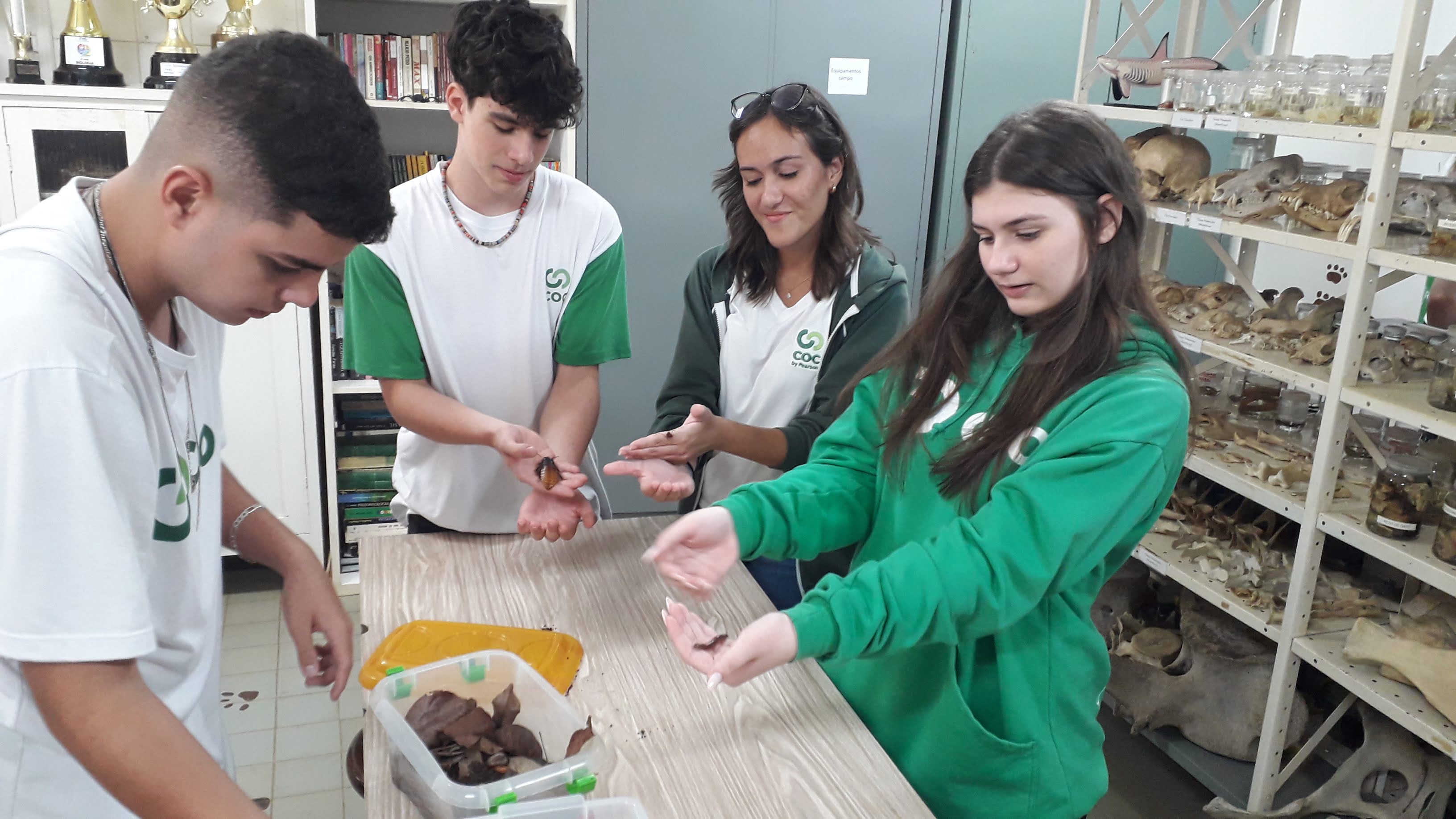 Foto 10 da ação de extensão