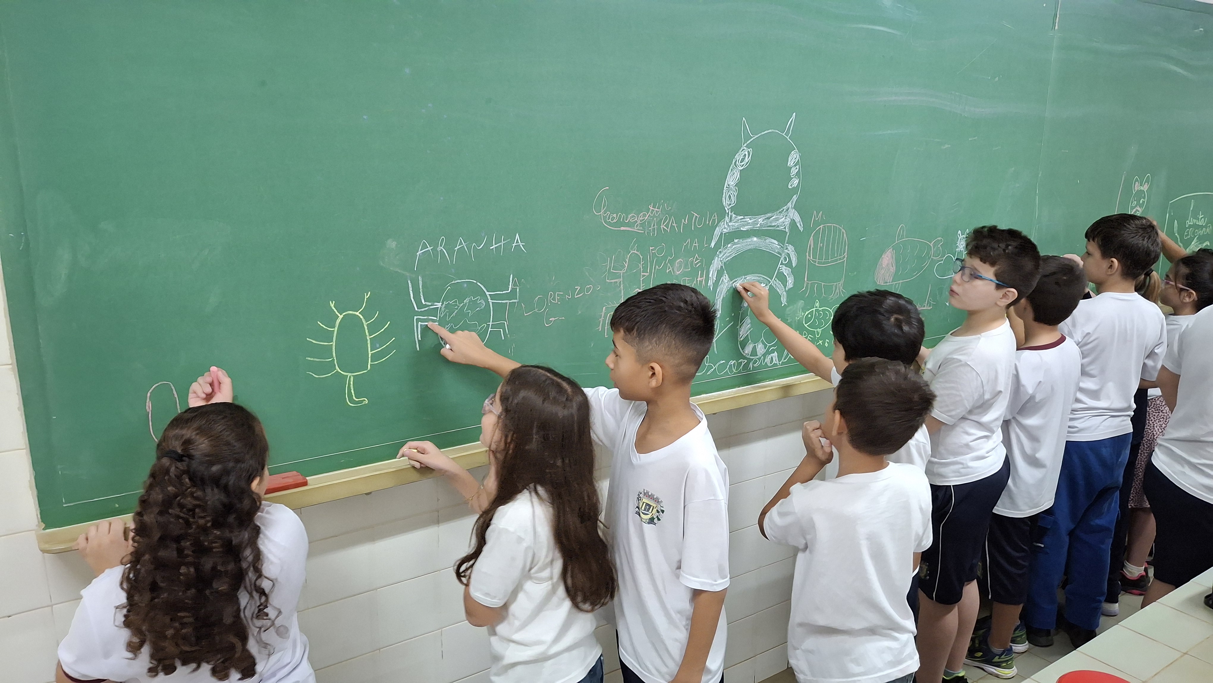 Foto 12 da ação de extensão