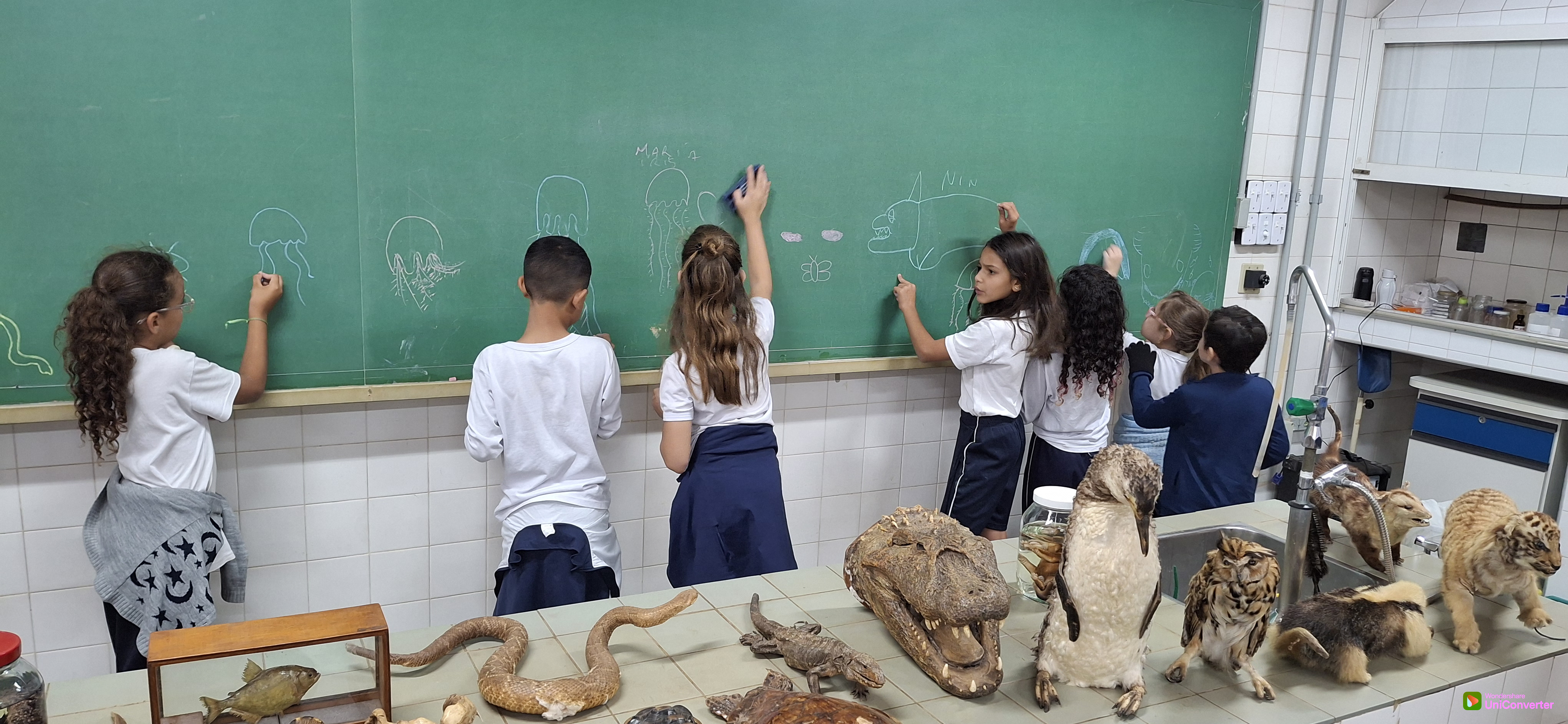 Foto 5 da ação de extensão