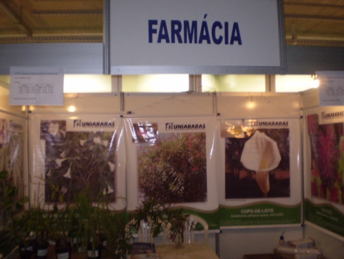 Foto 3 da ação de extensão