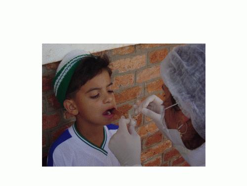 Foto 2 da ação de extensão